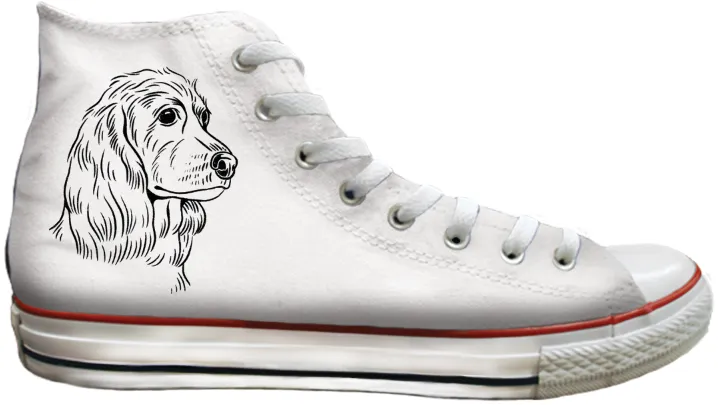 Baggins Original Hi top English Cocker Spaniel