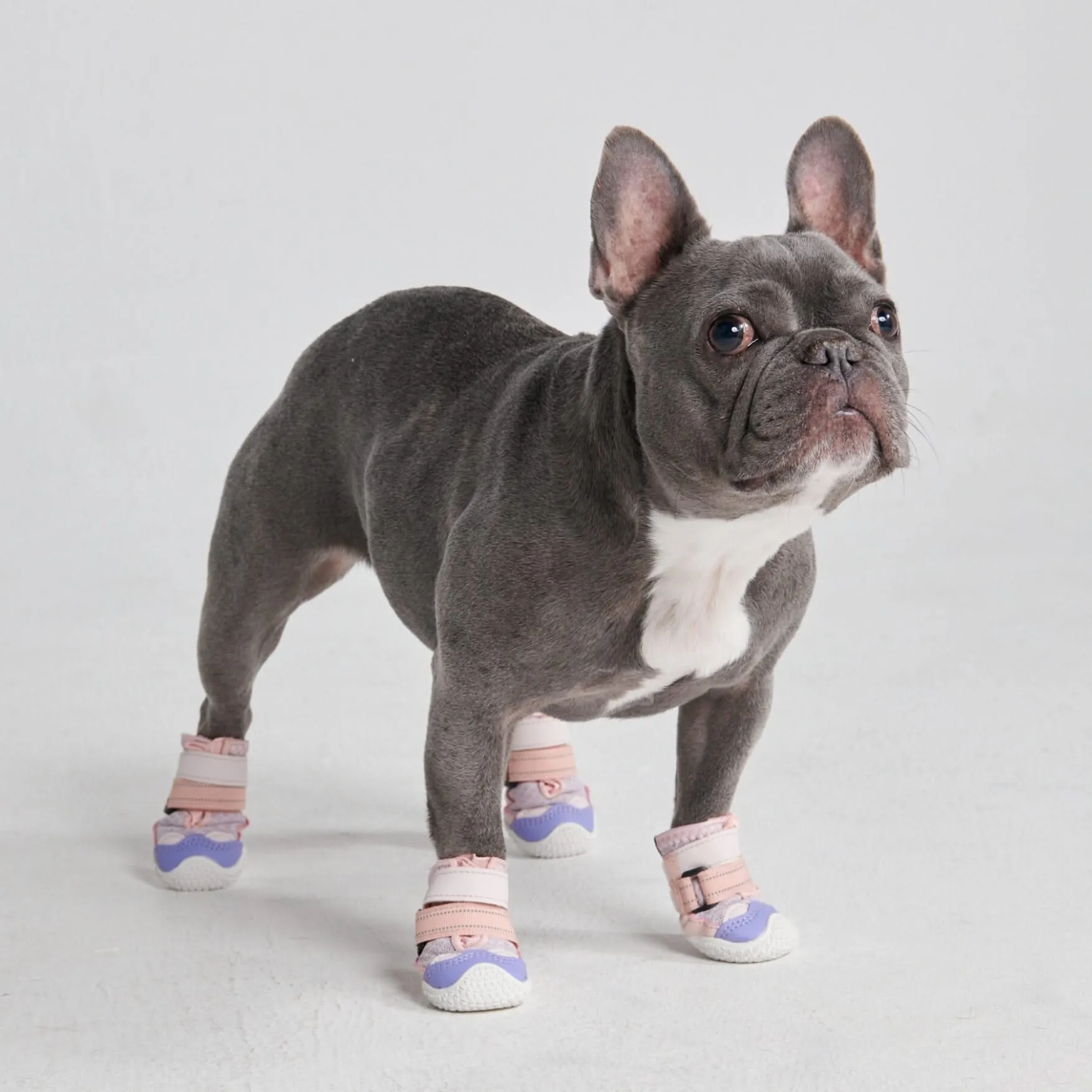 Hot Pavement Pawtector Dog Shoes