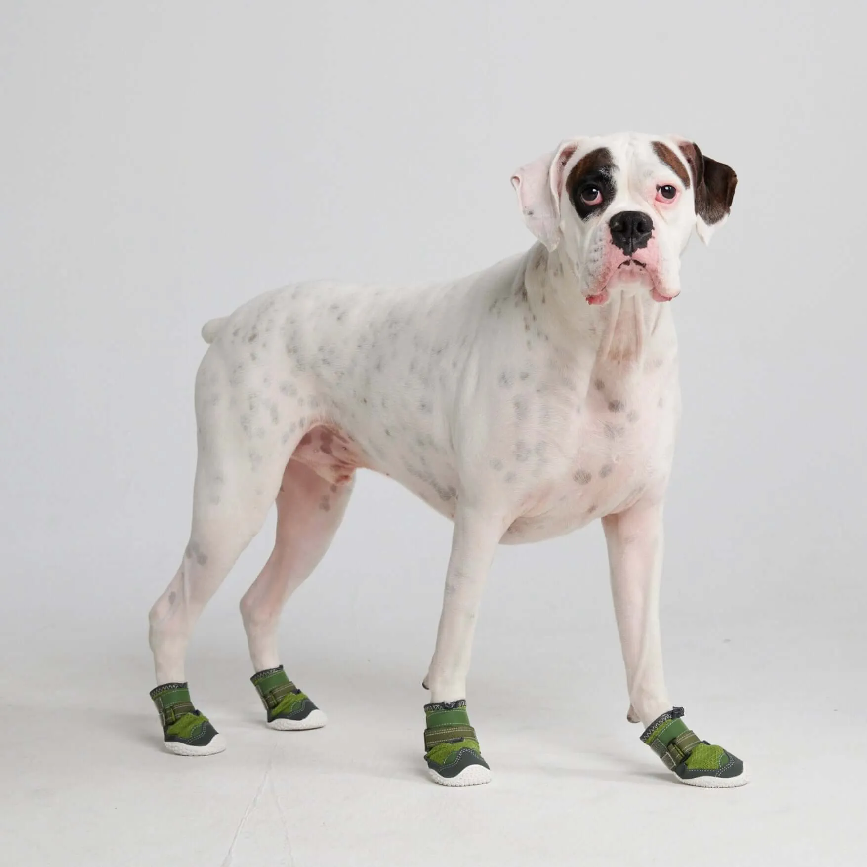 Hot Pavement Pawtector Dog Shoes